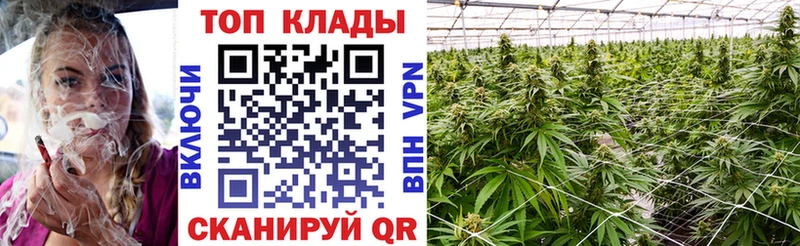 ГАШ Бавлы
