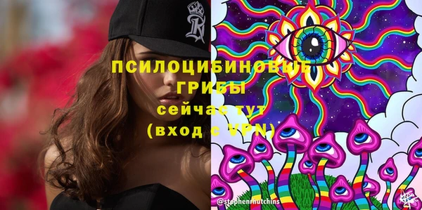 МДПВ Абинск