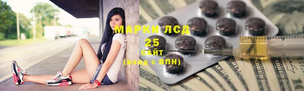 стаф Алзамай